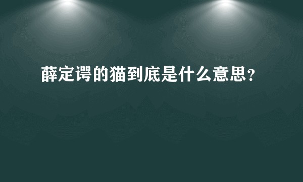 薛定谔的猫到底是什么意思？