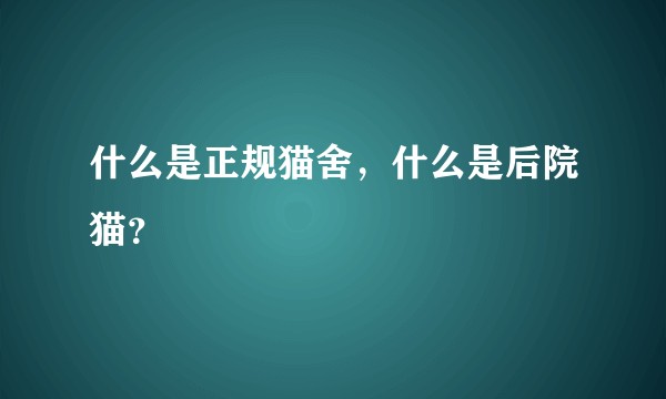 什么是正规猫舍，什么是后院猫？