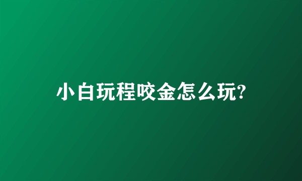 小白玩程咬金怎么玩?
