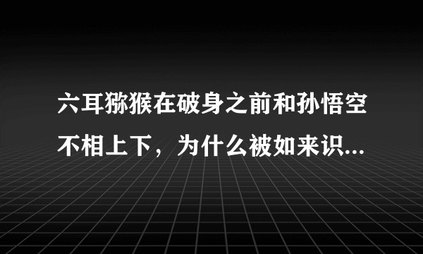 六耳猕猴在破身之前和孙悟空不相上下，为什么被如来识破后却被孙悟空一棍打死?