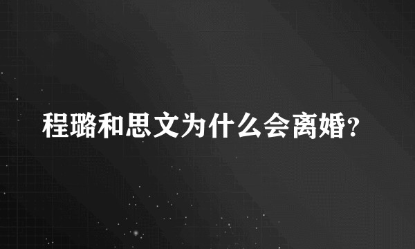 程璐和思文为什么会离婚？