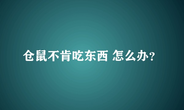 仓鼠不肯吃东西 怎么办？