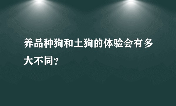 养品种狗和土狗的体验会有多大不同？