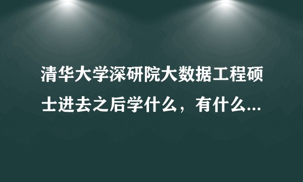 清华大学深研院大数据工程硕士进去之后学什么，有什么培养方案之类的?