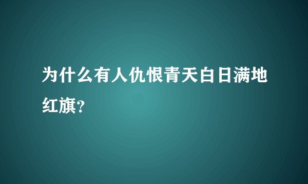 为什么有人仇恨青天白日满地红旗？