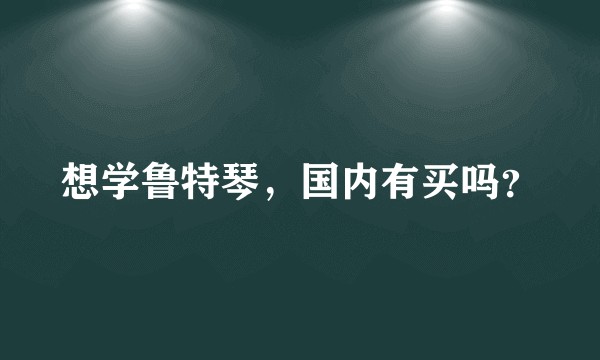 想学鲁特琴，国内有买吗？