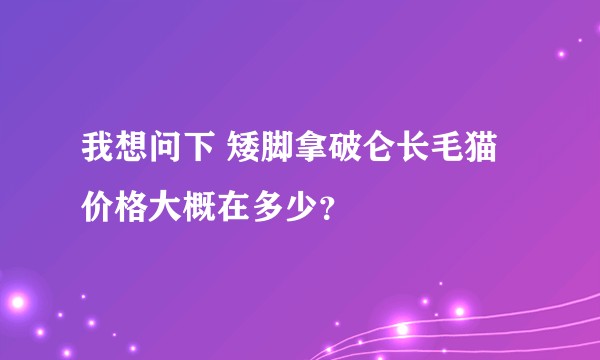 我想问下 矮脚拿破仑长毛猫价格大概在多少？