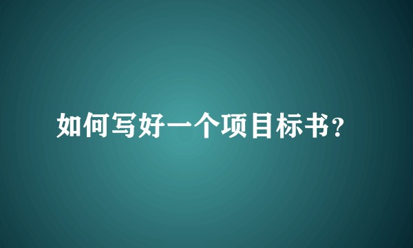 如何写好一个项目标书？