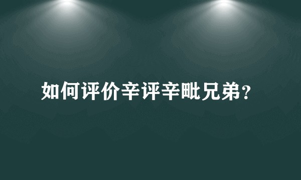 如何评价辛评辛毗兄弟？