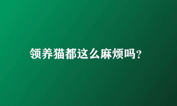 领养猫都这么麻烦吗?