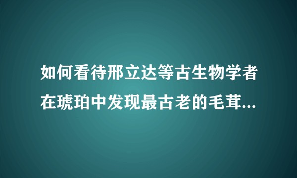 如何看待邢立达等古生物学者在琥珀中发现最古老的毛茸茸蜗牛？