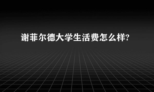 谢菲尔德大学生活费怎么样?