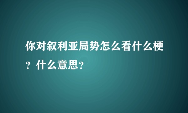你对叙利亚局势怎么看什么梗？什么意思？