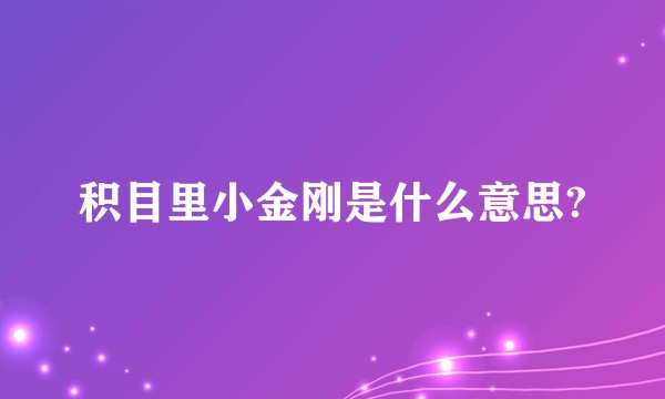 积目里小金刚是什么意思?