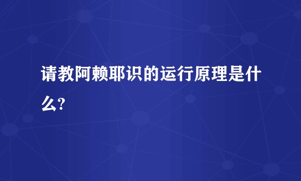 请教阿赖耶识的运行原理是什么?