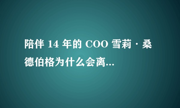 陪伴 14 年的 COO 雪莉·桑德伯格为什么会离职，会对 Meta 造成怎样的影响？