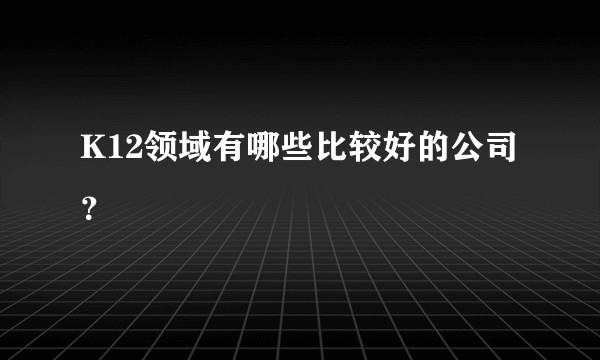 K12领域有哪些比较好的公司？