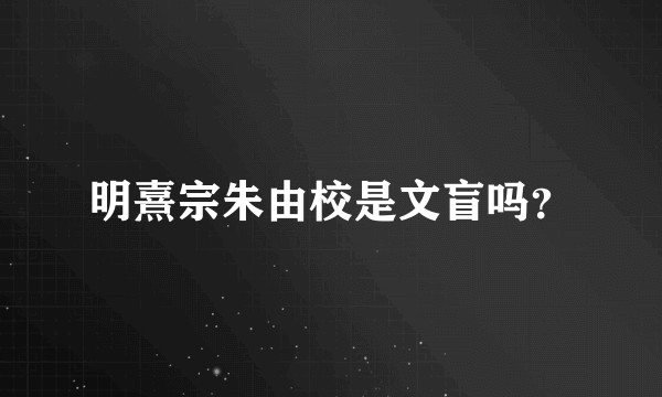 明熹宗朱由校是文盲吗？