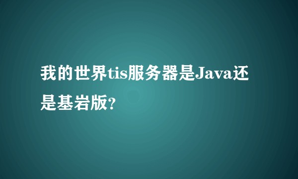 我的世界tis服务器是Java还是基岩版？