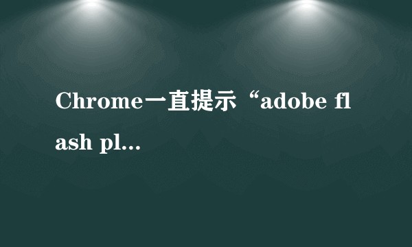 Chrome一直提示“adobe flash player 因过期而遭阻止” ，如何解决？