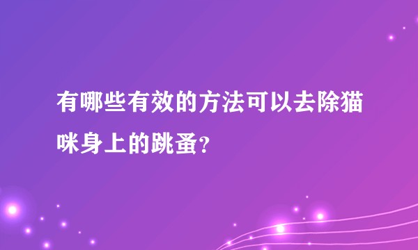 有哪些有效的方法可以去除猫咪身上的跳蚤？