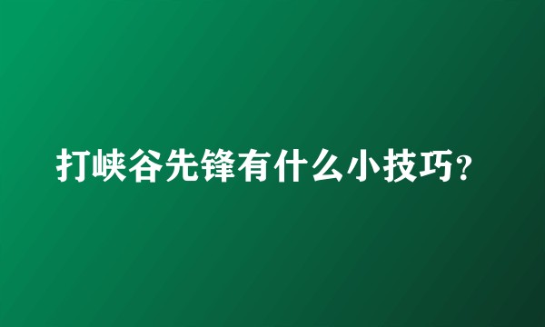 打峡谷先锋有什么小技巧？