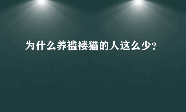 为什么养褴褛猫的人这么少？