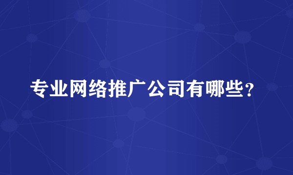 专业网络推广公司有哪些？