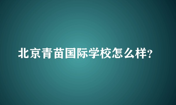 北京青苗国际学校怎么样?